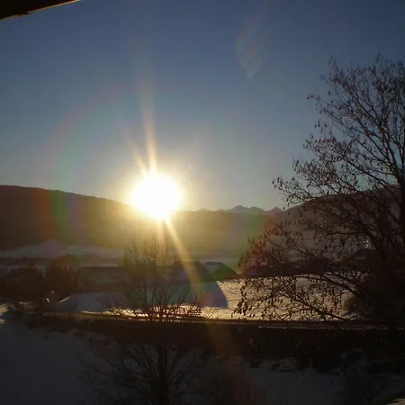 Panoramahaus Steiner 招待所 3*