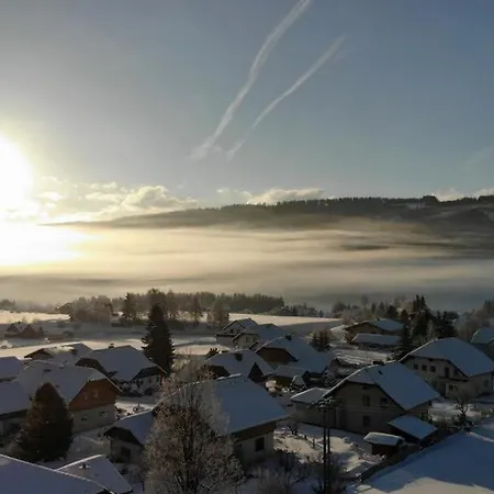 Panoramahaus Steiner 招待所 3*